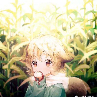 全球昆虫正在以惊人速度灭绝